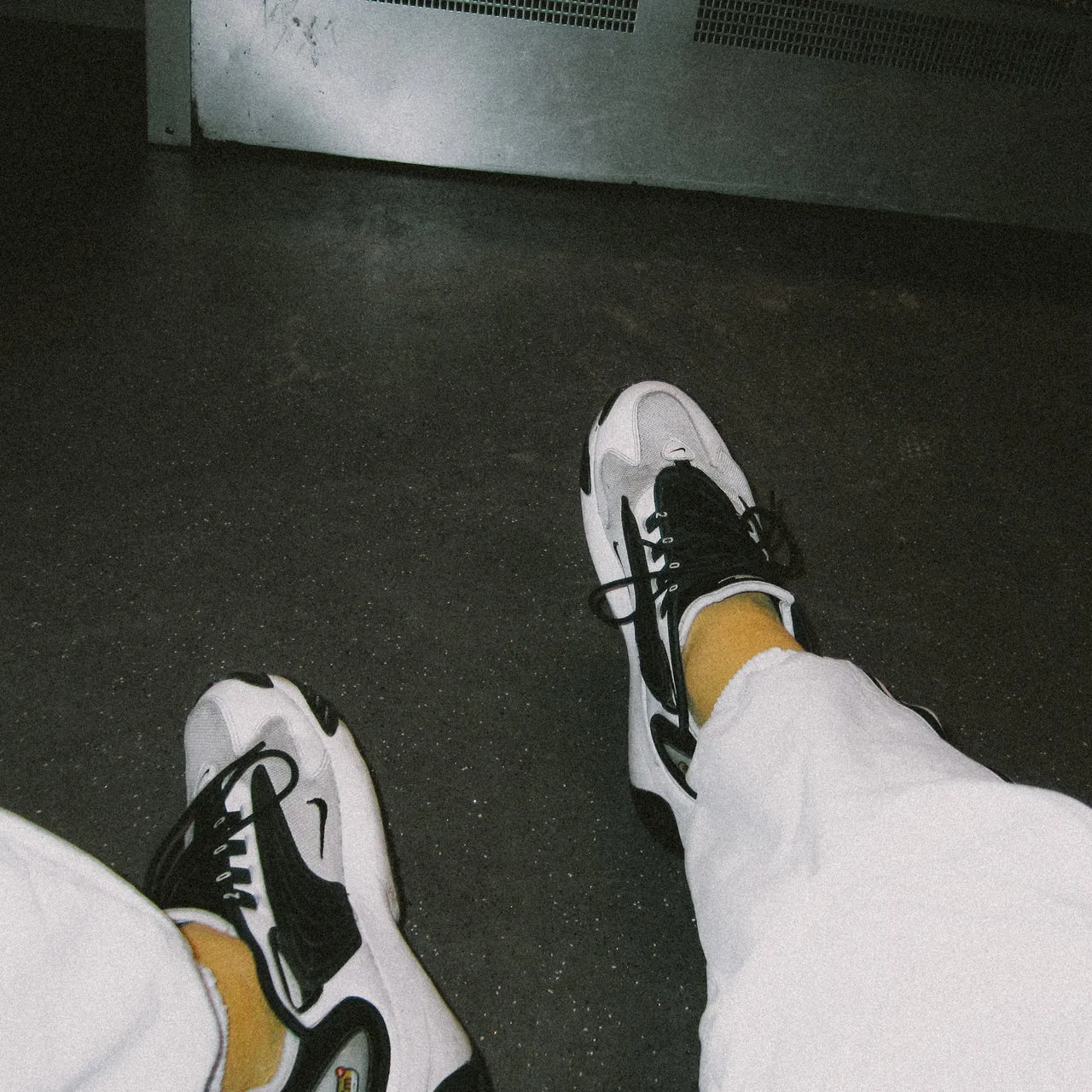 All my plants are dead by Nola The Galgo